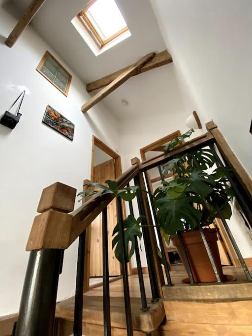 9A Viaduct Cottage - The Cosiest Bolthole In The Sw! Гейл Екстер'єр фото