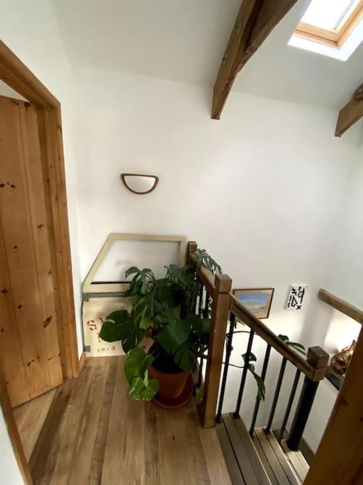 9A Viaduct Cottage - The Cosiest Bolthole In The Sw! Гейл Екстер'єр фото